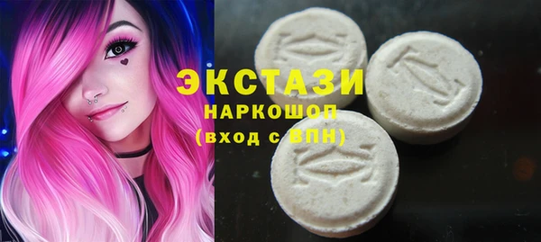 индика Горняк