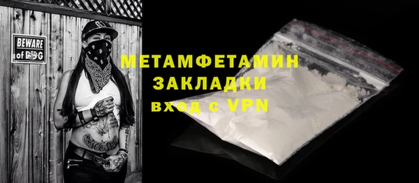 индика Горняк