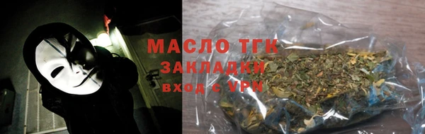 индика Горняк