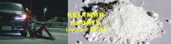 индика Горняк