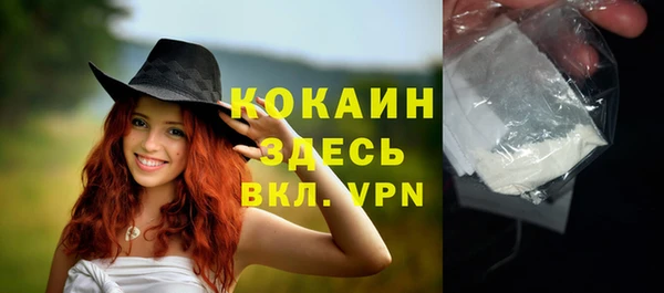 индика Горняк