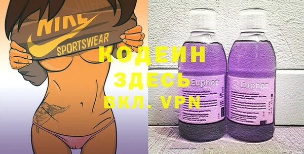 индика Горняк