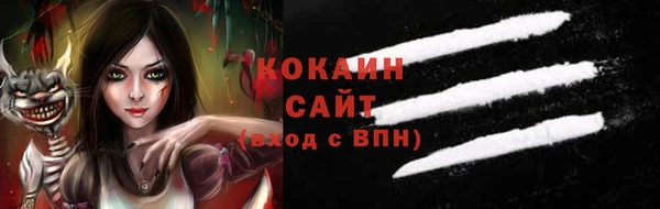 индика Горняк