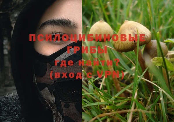 бошки Горно-Алтайск