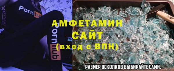 индика Горняк
