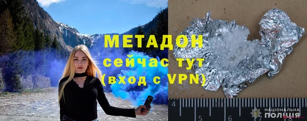 индика Горняк