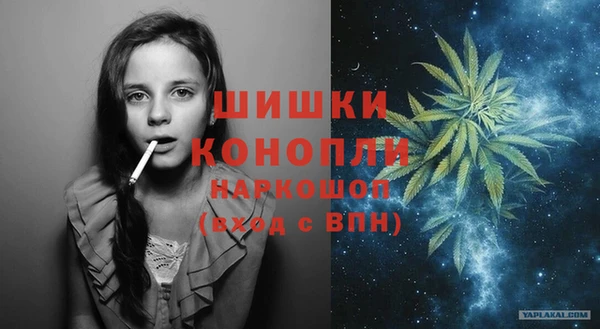 стафф Горнозаводск