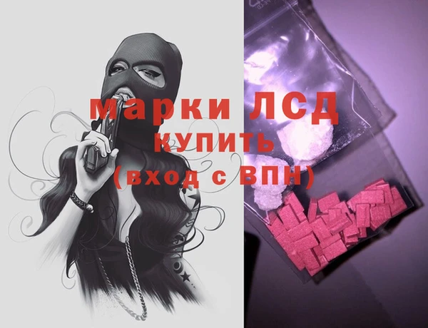 индика Горняк