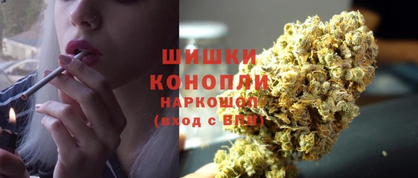 индика Горняк
