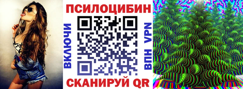 Галлюциногенные грибы Psilocybe  Купить  Тарко-Сале 